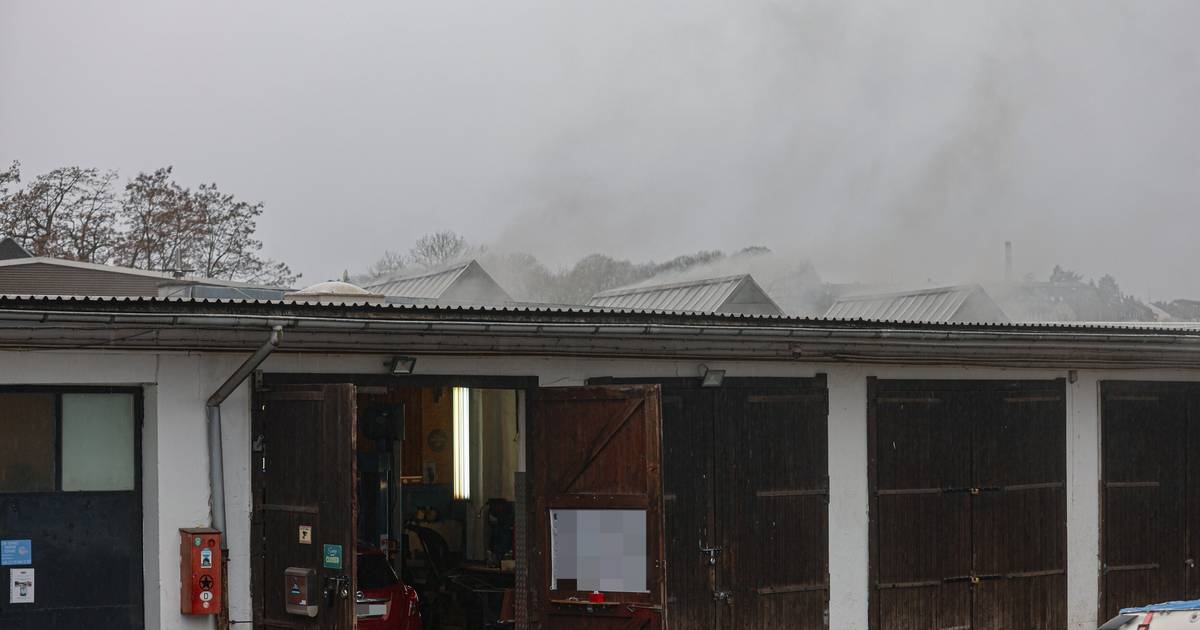 Mehrere Autos durch Brand in Halle beschädigt