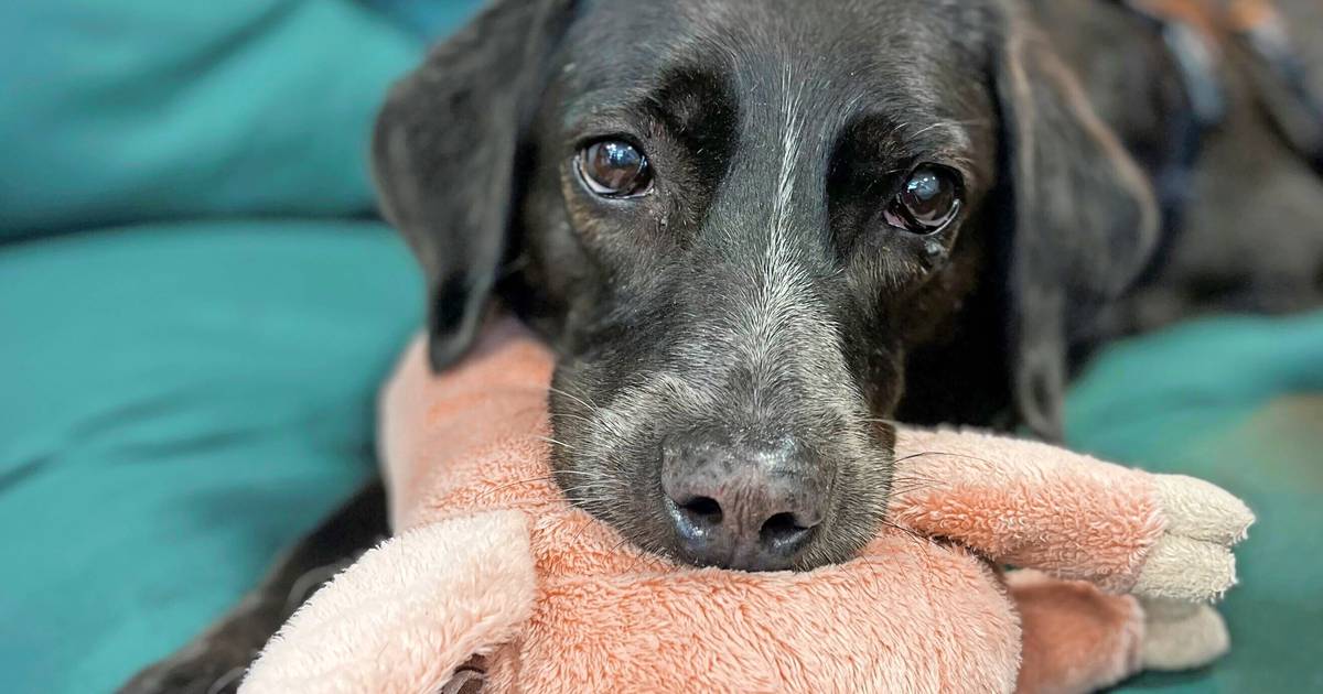 Leni sorgt im Kabäusken für gute Laune