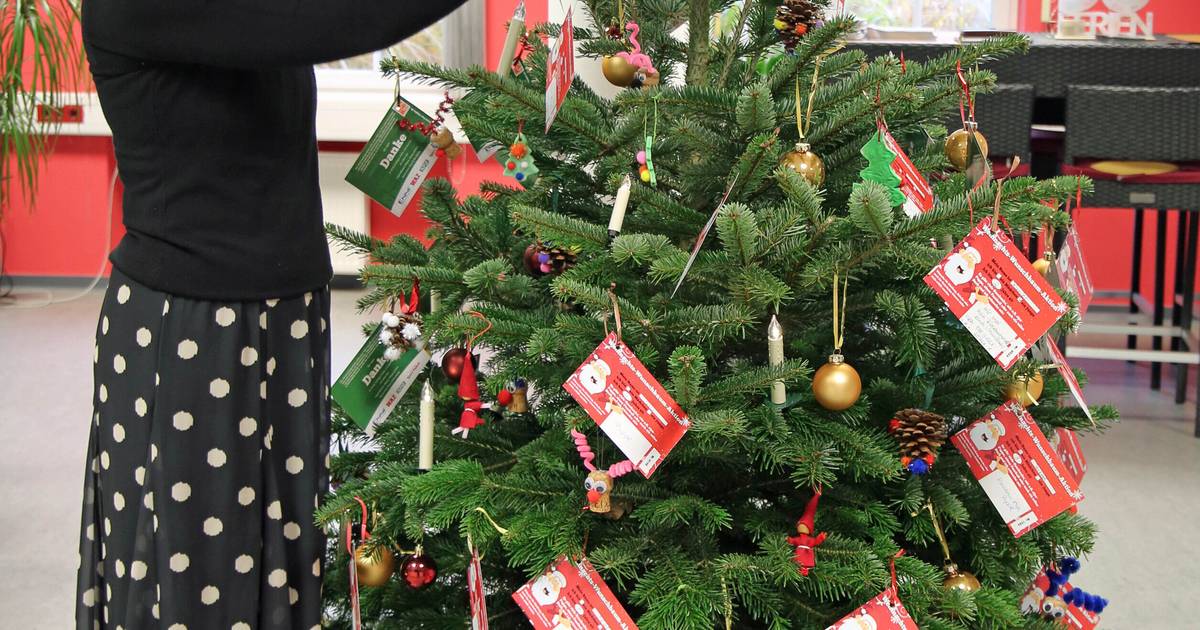 Wunschbaum-Aktion von "Klartetxt für Kinder" gestartet