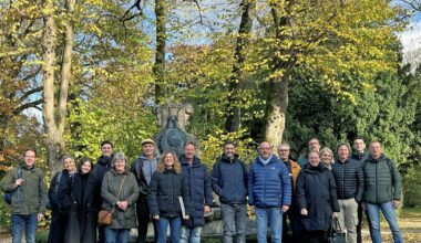 Die Folgen des Klimawandels für alte Baumbestände