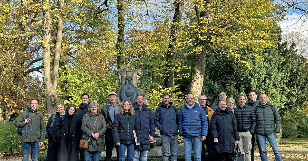 Die Folgen des Klimawandels für alte Baumbestände