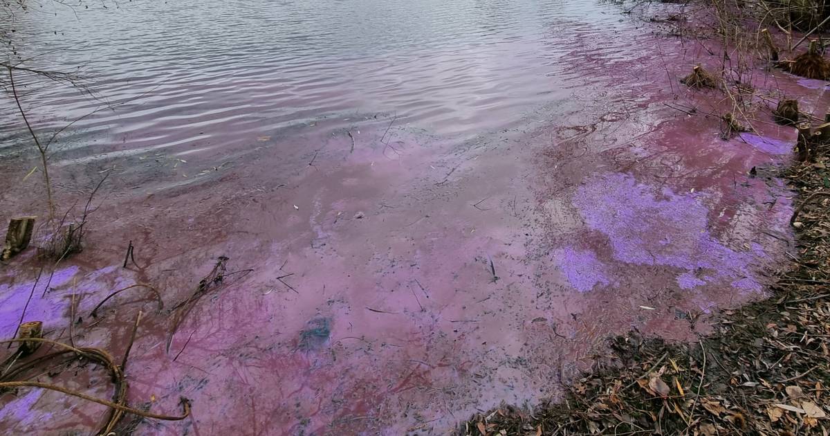 Stadt warnt vor Giftstoffen im Elfrather See
