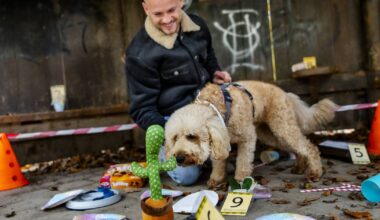 Ein Fall für clevere Spürnasen - Krimiwanderung