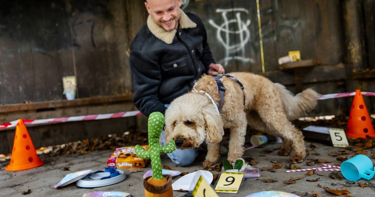 Ein Fall für clevere Spürnasen - Krimiwanderung