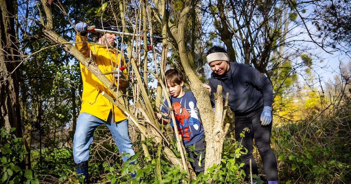 Freiwillige ackern in Urdenbacher Kämpe
