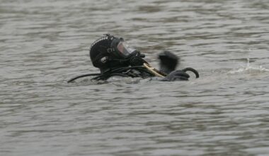 Tauchgang der Polizei in der Wupper sorgt für Aufsehen