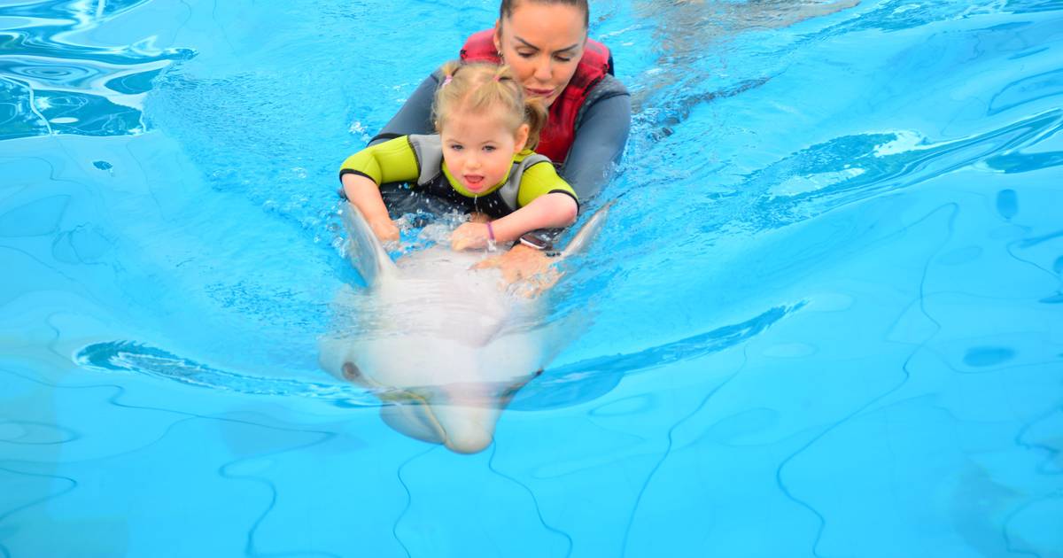 So geht es Mathilda (3) mit Rett-Syndrom nach ihrer gespendeten Delfintherapie