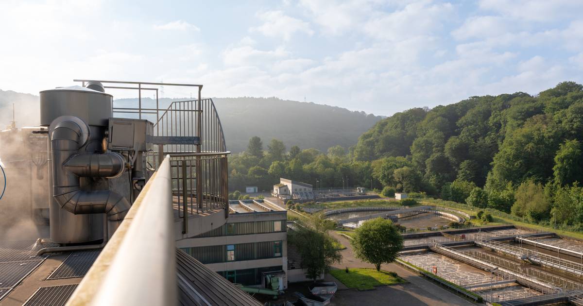 Wupperverband feiert Welttoilettentag am 19. November