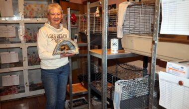 Helfer suchen private Gärten für gesunde Igel