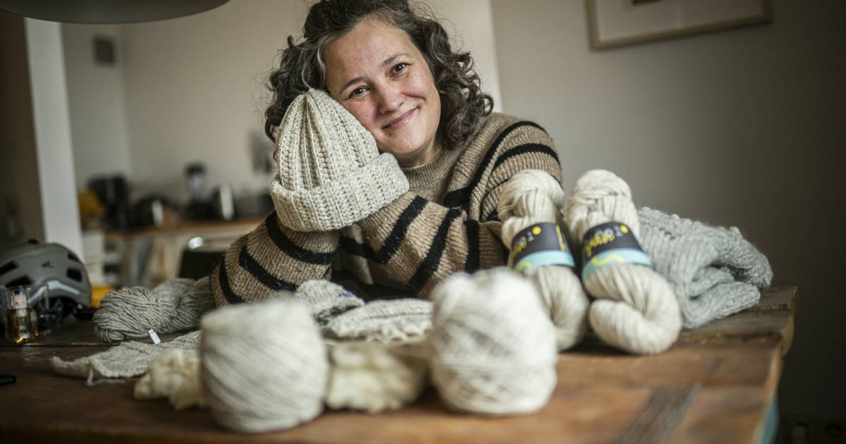 Start-up für Rheinschaf-Wolle gewinnt Zukunftspreis