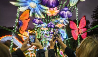 Alle Infos zum Japan & Korea Light & Food Festival in Düsseldorf