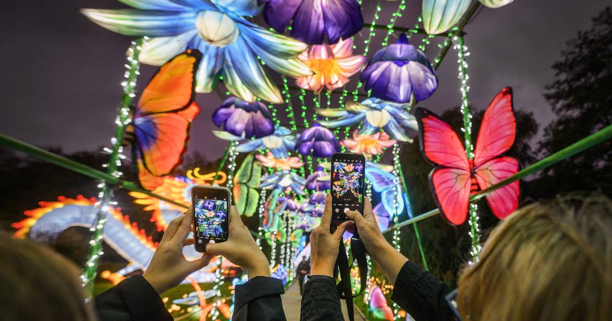 Alle Infos zum Japan & Korea Light & Food Festival in Düsseldorf