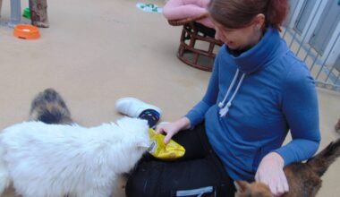 Tierschutz Mönchengladbach macht auf Futternot aufmerksam