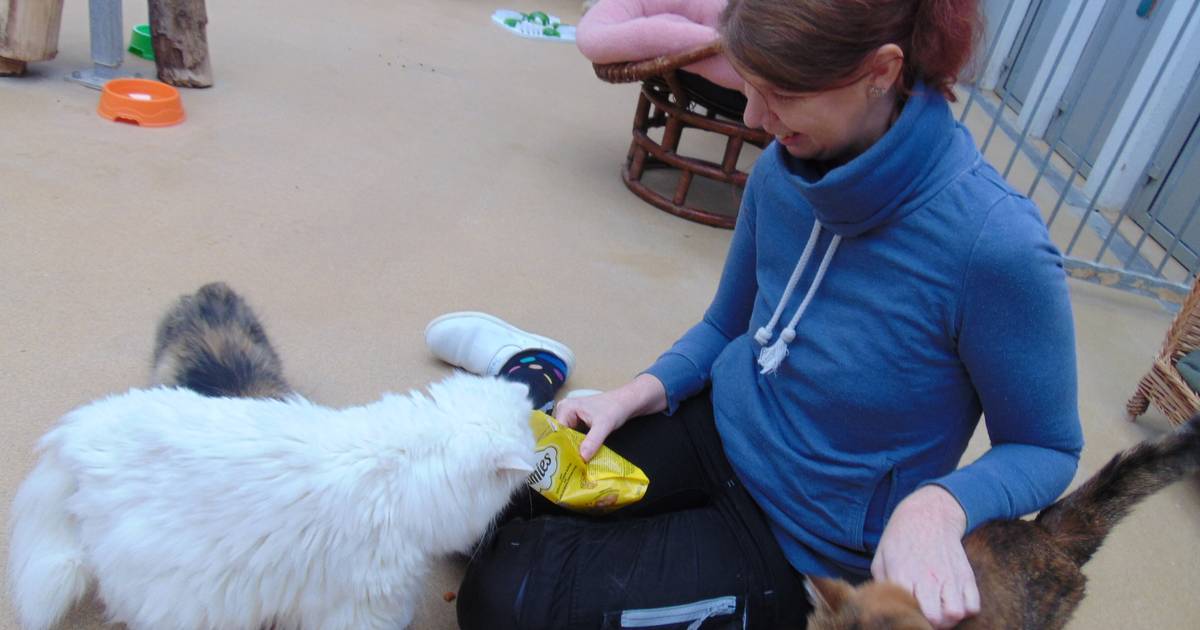 Tierschutz Mönchengladbach macht auf Futternot aufmerksam
