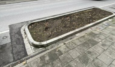 Im Stadtbezirk 9 pflanzt die Stadt im Herbst 27 neue Bäume