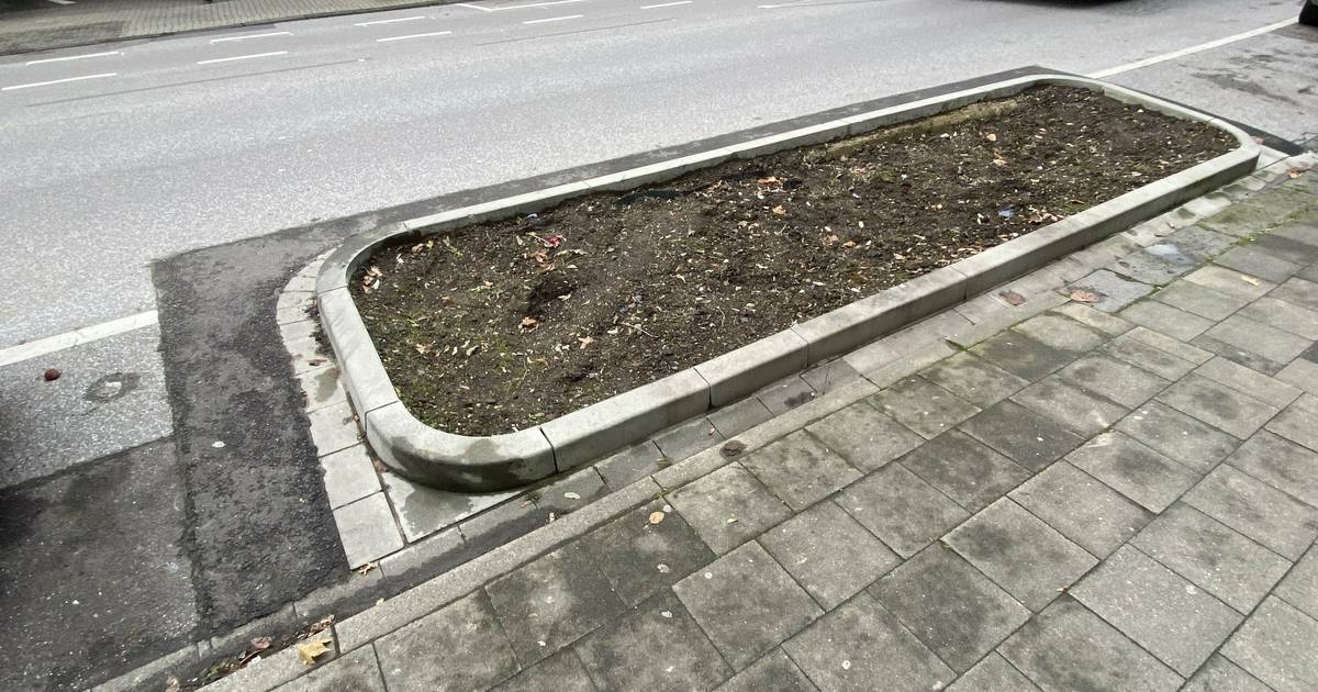 Im Stadtbezirk 9 pflanzt die Stadt im Herbst 27 neue Bäume