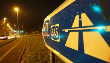 Bonn: Wildschweine könnten auf A565 laufen