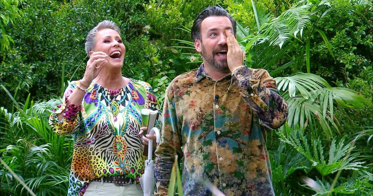 Das sind die Kandidaten bei IBES 2026