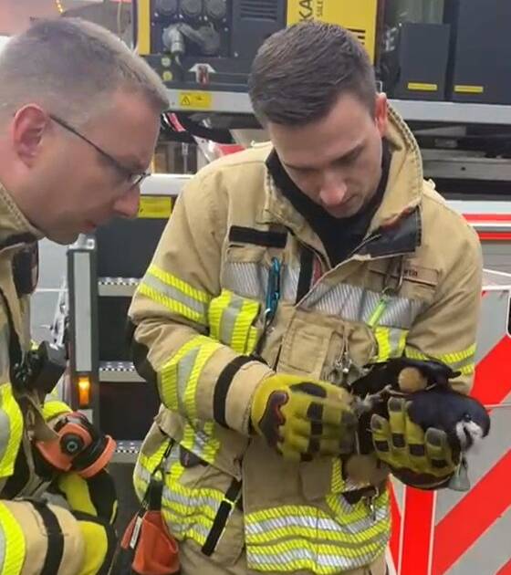 Feuerwehr rettet Rabe aus misslicher Lage