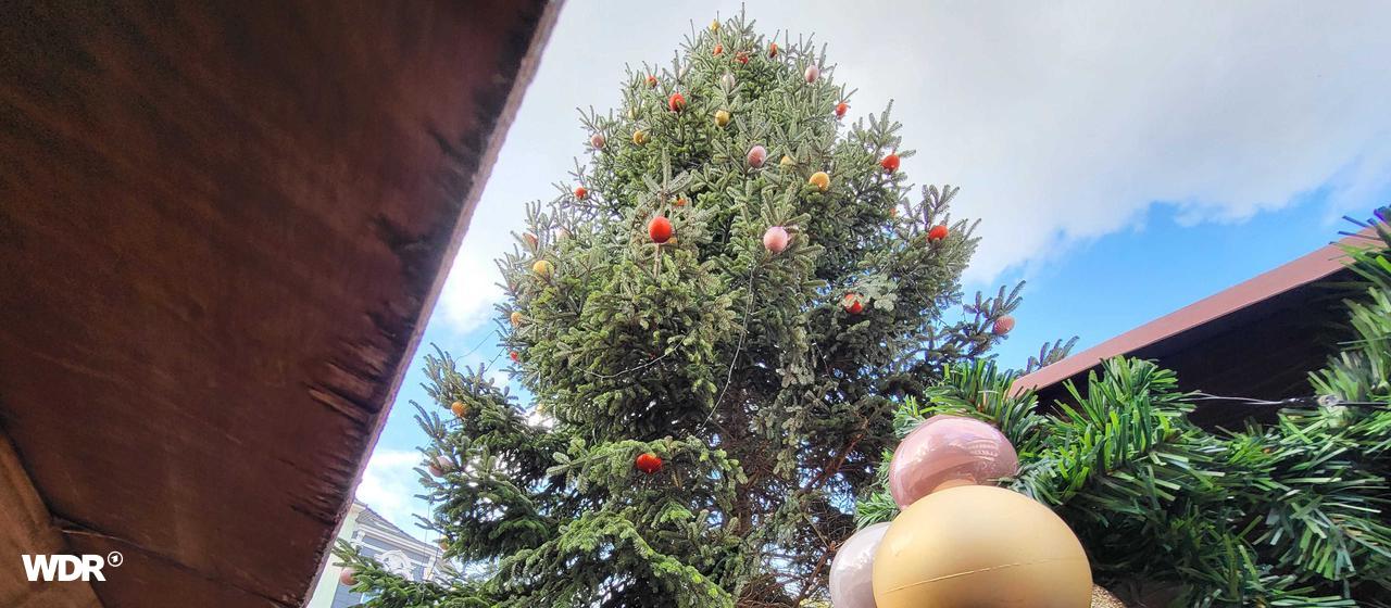 Auf dem Foto ist ein mit Kugeln geschmückter Weihnachtsbaum zwischen Dächern von Weihnachtsmarkt-typischen Holzbuden.