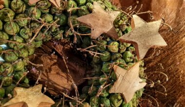 H@llAnzeiger - Gutes tun in der Advents