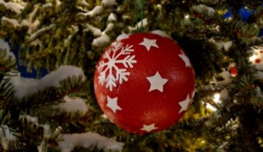 Lebenstraum e.V. lädt zum Weihnachtsgarten in Ammendorf ein