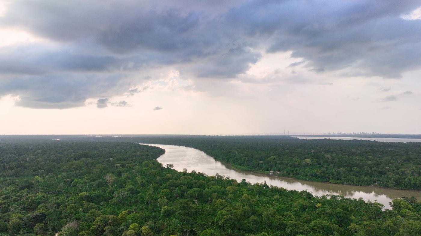 Deutschland gibt eine Milliarde für Tropenfonds