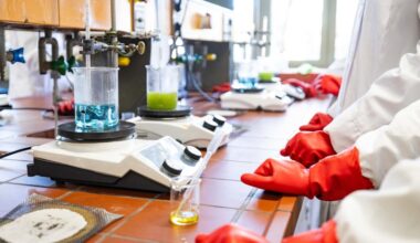 Wiesbadener Berufsschulen sind ein Pfund, mit dem man wuchern kann