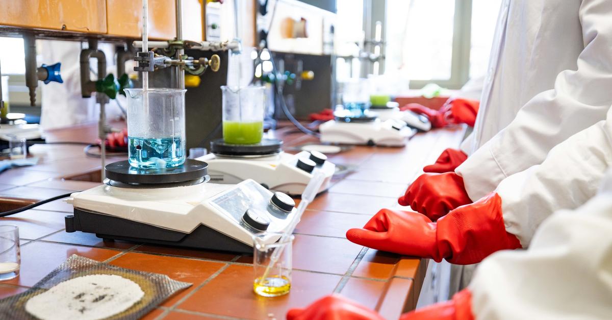 Wiesbadener Berufsschulen sind ein Pfund, mit dem man wuchern kann