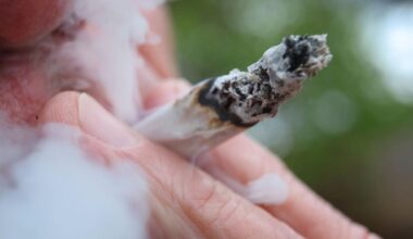 Mehr Psychosen aufgrund von Cannabis-Legalisierung