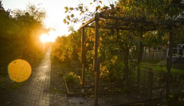 Kleingarten-Schock in Duisburg - Dutzende müssen Parzellen räumen