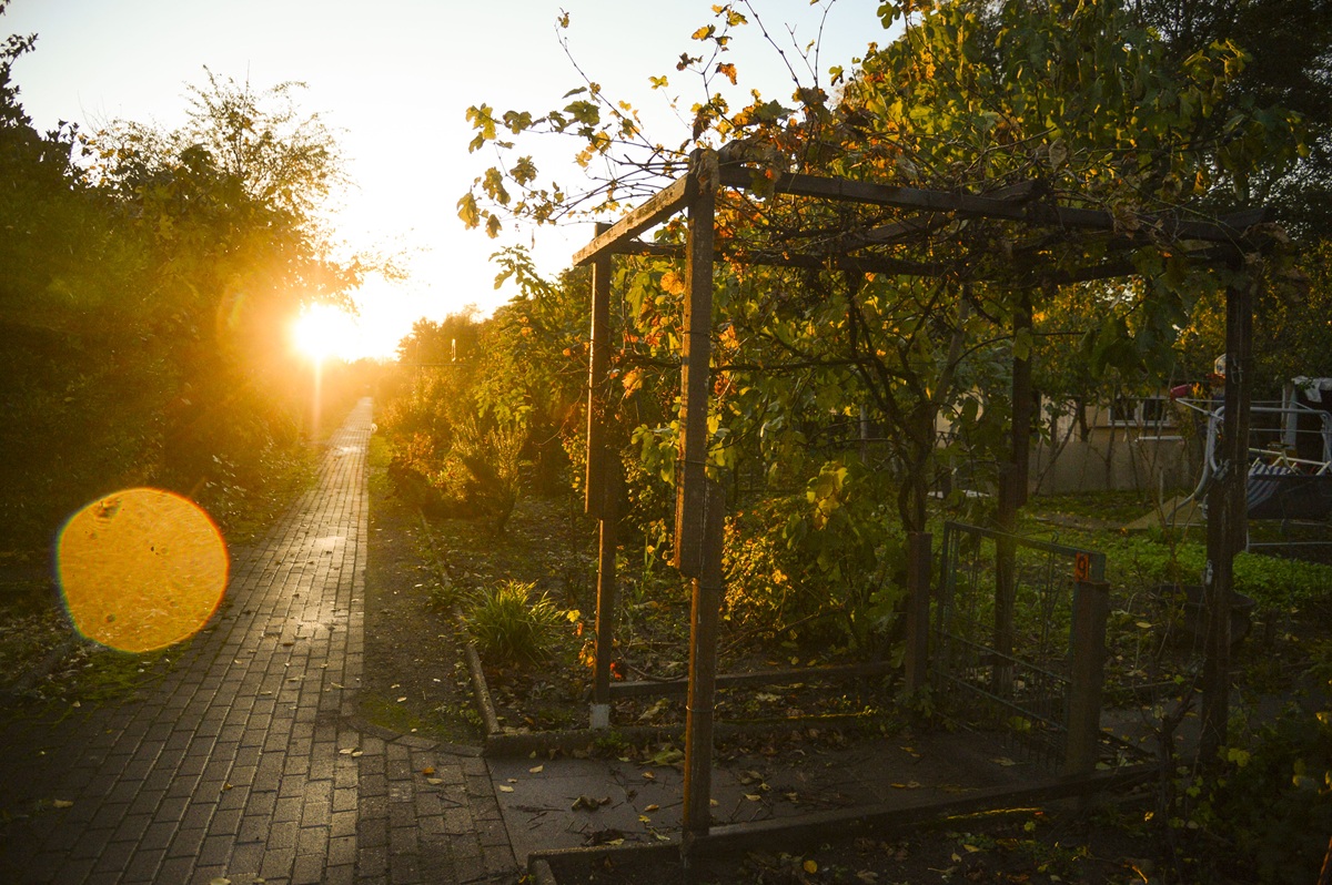 Kleingarten-Schock in Duisburg - Dutzende müssen Parzellen räumen