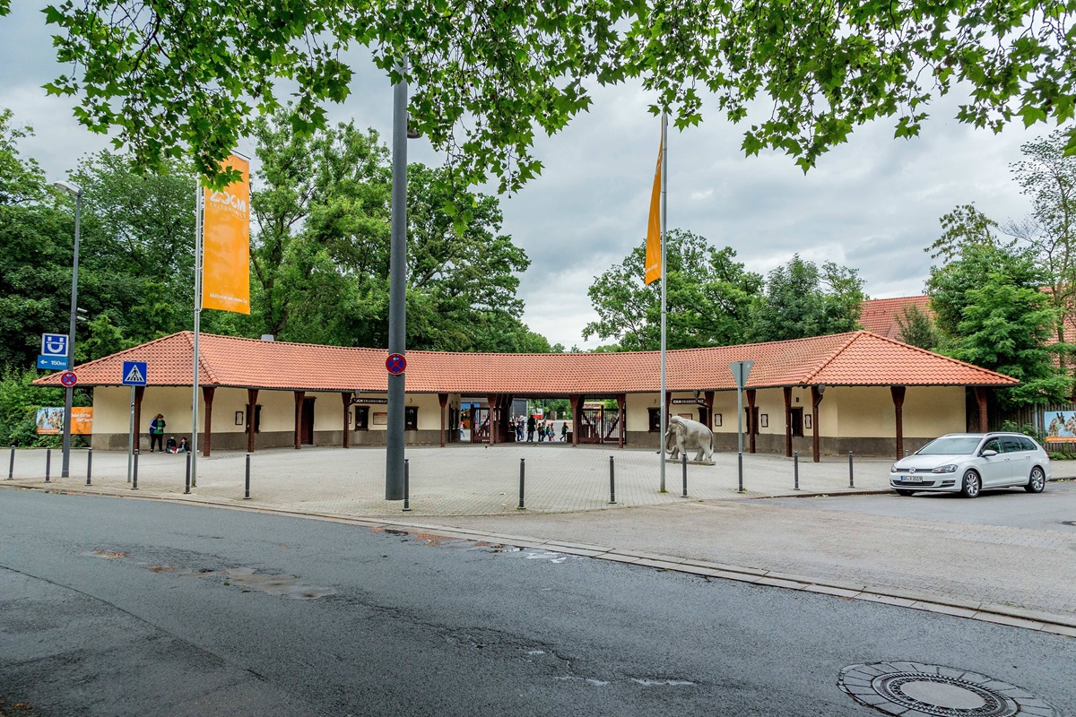 Zoom Gelsenkirchen wildert Tiere aus - und muss sie kurz darauf einfangen
