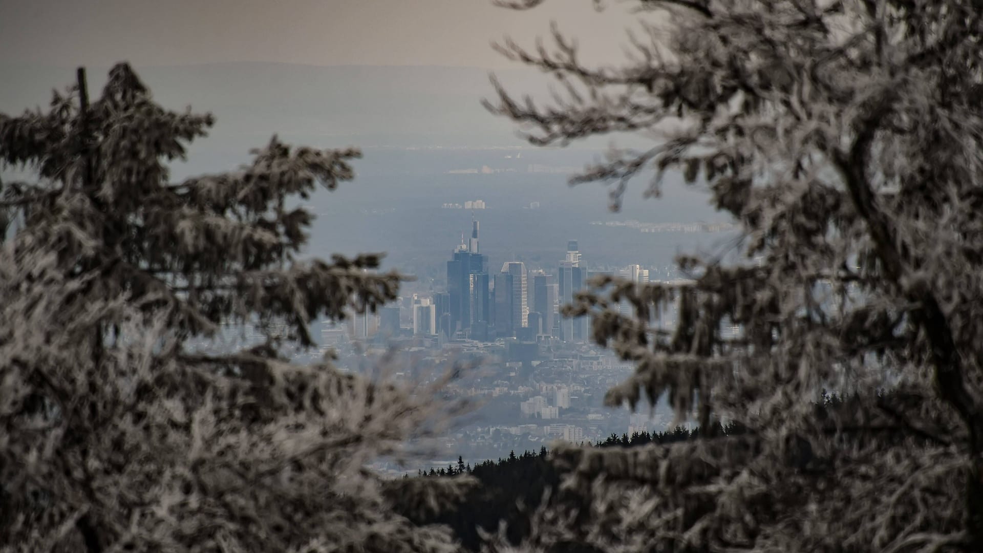 imago images 116537095 imago images 116537095