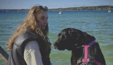 Frau aus Hollenbach startet Kampagne gegen Feuerwerk