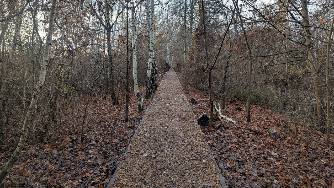 Dschungelgefühle und ein Anstieg, der es in sich hat