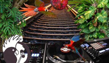 Do 01.01. – Nachtschiene bei LORA München – Radio Lora München