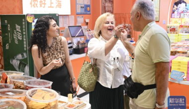 Experten fordern EU zu sachlicher China-Handelspolitik auf_China.org.cn