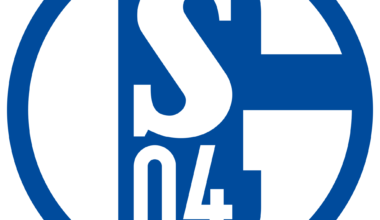 Fussball 2. Bundesliga: Schalke Herbstmeister im Unterhaus