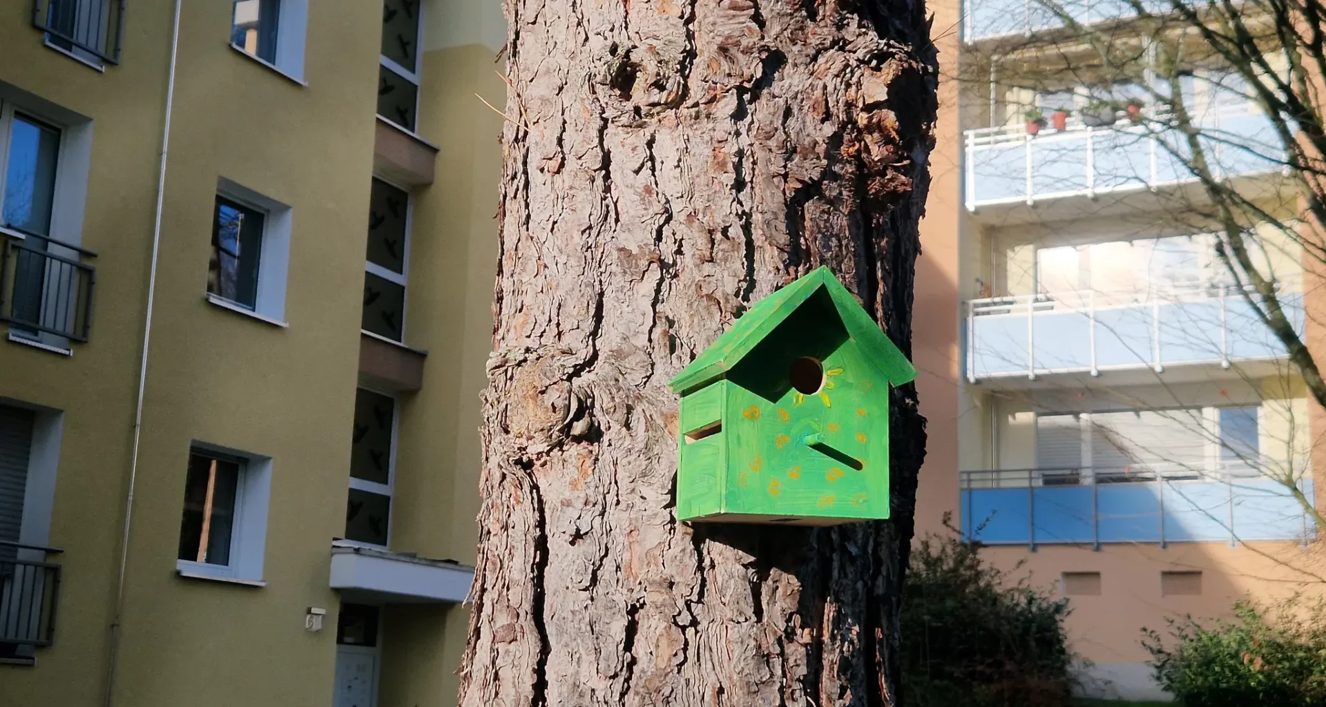 Vonovia unterstützt Nistkästen-Projekte in Aachen und Würselen