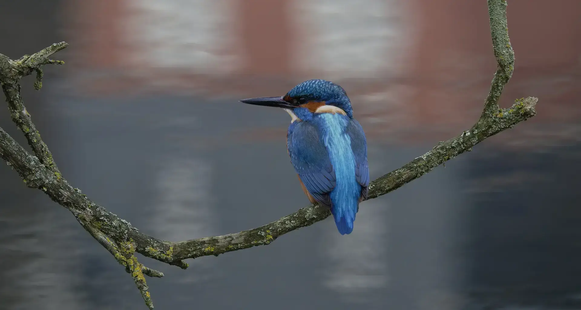 Bürgerreporter-Fotos: Bis 9. Januar: Fünf neue Schnappschüsse auf der Newswall