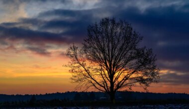 Wetteraussichten - Sonne und Regen in Berlin und Brandenburg - Panorama