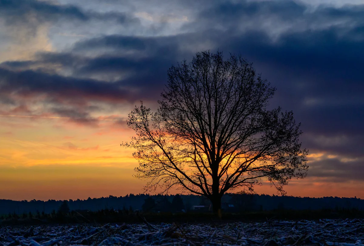 Wetteraussichten - Sonne und Regen in Berlin und Brandenburg - Panorama