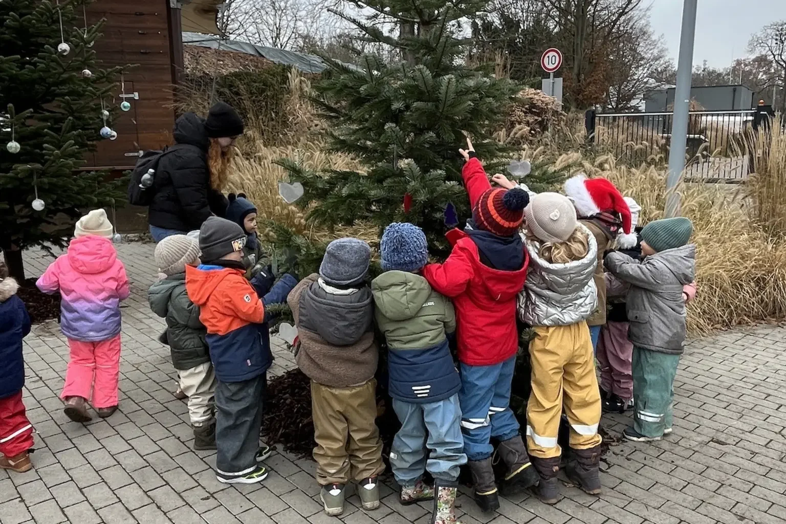 Entscheidung im "Christbaum-Battle": Wer hat den schönsten Baum geschmückt?