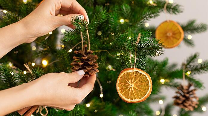 Getrocknete Orangenscheiben und Tannenzapfen sind Klassiker der weihnachtlichen Naturdeko.