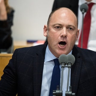 Joachim Paul, AfD, Landtagsabgeordneter RLP