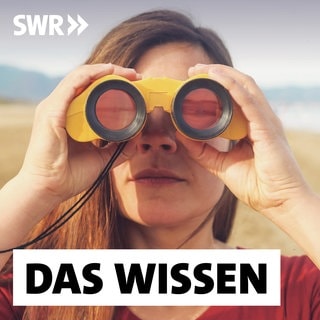 Podcast-Cover von "Das Wissen": Frau schaut durch Fernglas (Foto: Unsplash) Podcast-Cover von "Das Wissen": Frau schaut durch Fernglas