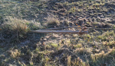 Vandalismus in Gersthofen: Obstbäume in der Stiftersiedlung und Verteilerkasten am Ballonstartplatz zerstört! - News Augsburg, Allgäu und Ulm