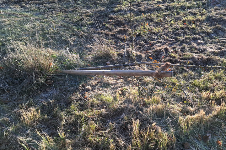Vandalismus in Gersthofen: Obstbäume in der Stiftersiedlung und Verteilerkasten am Ballonstartplatz zerstört! - News Augsburg, Allgäu und Ulm