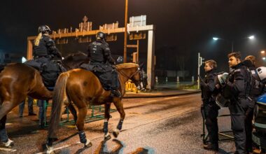 Falschbehauptungen über gestürztes Polizeipferd bei Demo in Gießen